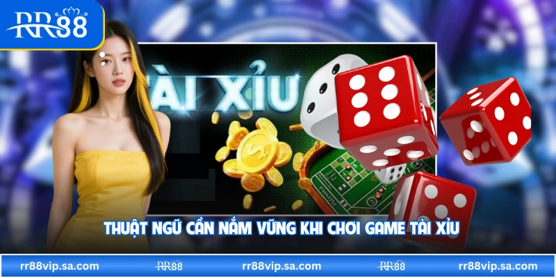 Thuật ngữ cần nắm vững khi chơi game tài xỉu